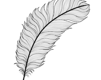 Feather Template: Royalty Free Traceable Pattern Bundle (Jpg, Png, Svg, Pdf)