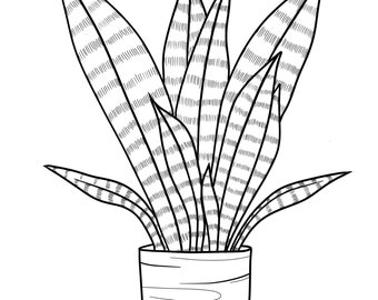 Snake Plant Template: Royalty Free Traceable Pattern Bundle (Jpg, Png, Svg, Pdf)