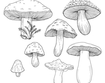 Mushroom Template: Royalty Free Traceable Pattern Bundle (Jpg, Png, Svg, Pdf)