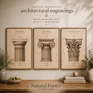 Puede incluir: Conjunto de tres grabados arquitectónicos enmarcados sobre madera natural, con columnas de orden dórico, jónico y corintio. Cada impresión incluye diagramas y medidas. El texto dice "Arquitectura Clásica" y "Grabados arquitectónicos".