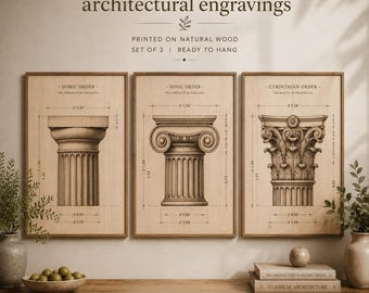 Classical Orders Architectural Engravings Set of 3 |Doric Ionic Corinthian Columns| Printed on Natural Wood| Classical Architecture Wall Art