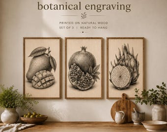 Natural Form Tropical Botanical Engravings Set of 3 | Printed on Wood Wall Art | Dragon Fruit Mango Pomegranate | Rustic Kitchen Decor Fruit