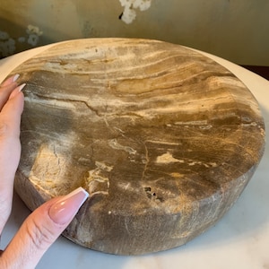 Petrified wood bowl
