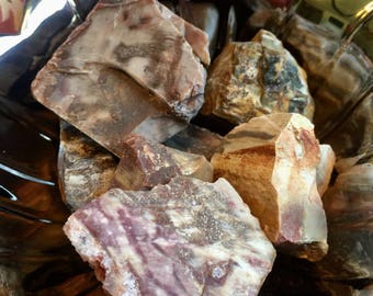 Petrified wood
