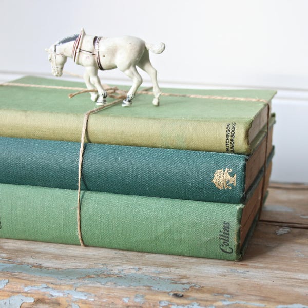 Reserved for Jacqui- Bundle of Green Vintage Hardcover Books Rustic Display Decor
