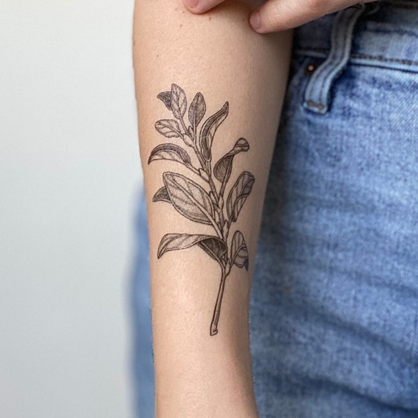 Sage Sprig Temporary Tattoo, Black Line Tattoo, Herbal, Botanical, Nature, Herb Lover Gift