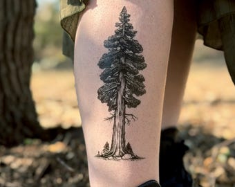 Redwood Tree Temporary Tattoo: Ancient Forest Nature Design