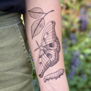 Polyphemus Moth Temporary Tattoo, Lifecycle Design, Nature Lover Gift, Stocking Stuffers & Party Favors