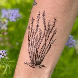Ocotillo Temporary Tattoo – Desert Plant Fake Tattoo – Hand-Drawn Black Ink Nature Tattoo – Resilient Botanical Art