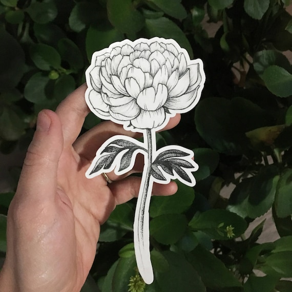 Tatouage Temporaire De Fleur De Pivoine Tatouage Dessiné De Nature De Main De Ligne Noire