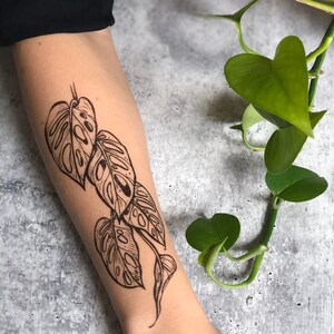 May include: A black and white line drawing of a monstera plant with leaves on a person's arm. The leaves are detailed with holes and veins.