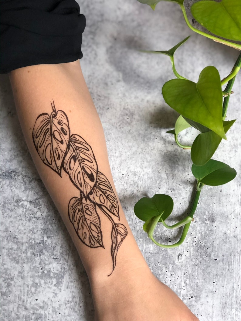 May include: A black and white line drawing of a monstera plant with leaves on a person's arm. The leaves are detailed with holes and veins.