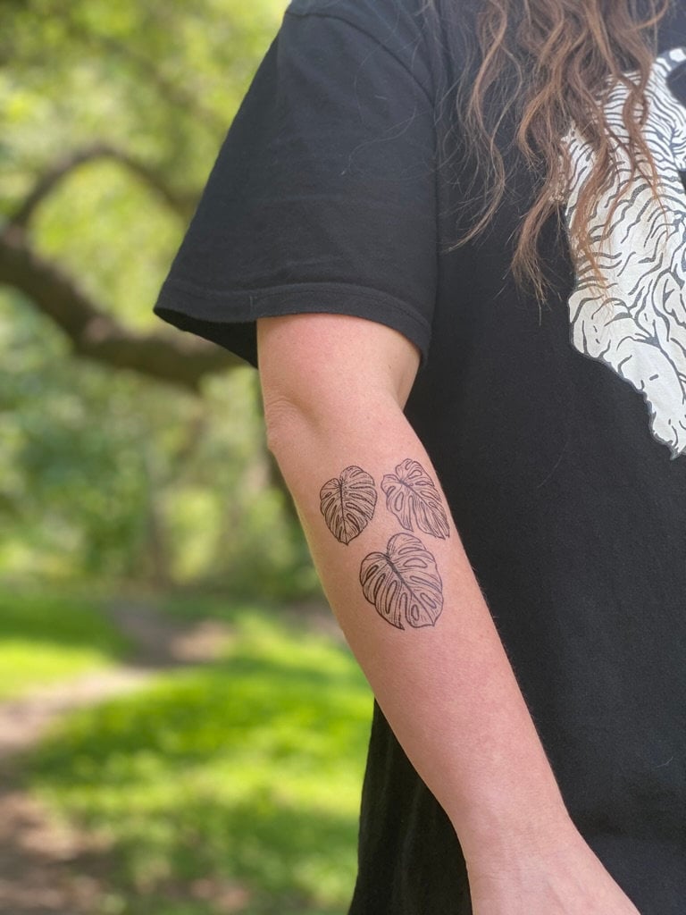 超レア モンステラ タトゥー【Monstera deliciosa Tattoo SALE，新品】 【超レア】モンステラ デリシオーサ タトゥー【Monstera