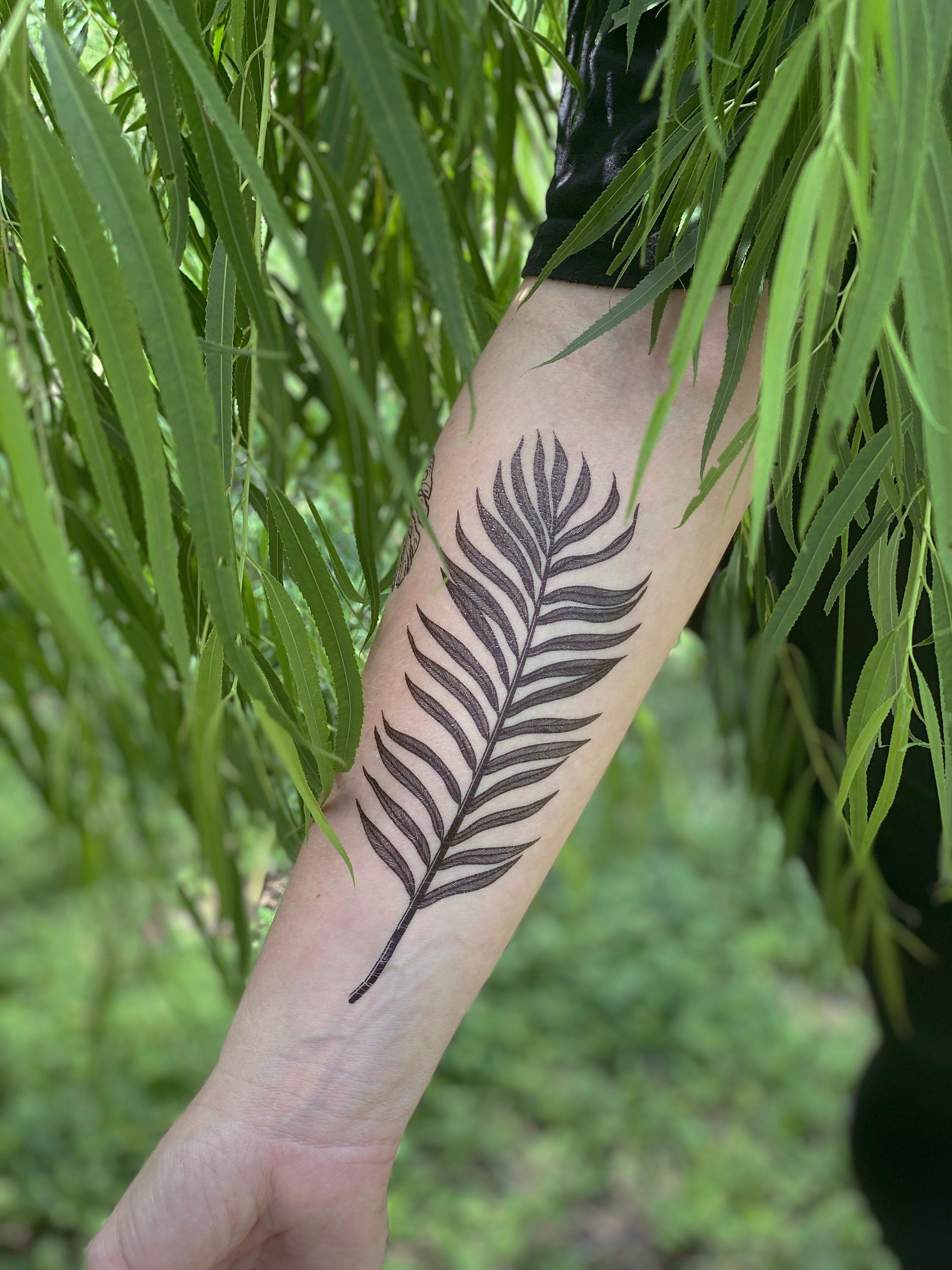 New Zealand Fern Leaf Tattoo and Logo with Maori Style Koru Design Grouped  Stock Vector Image & Art - Alamy
