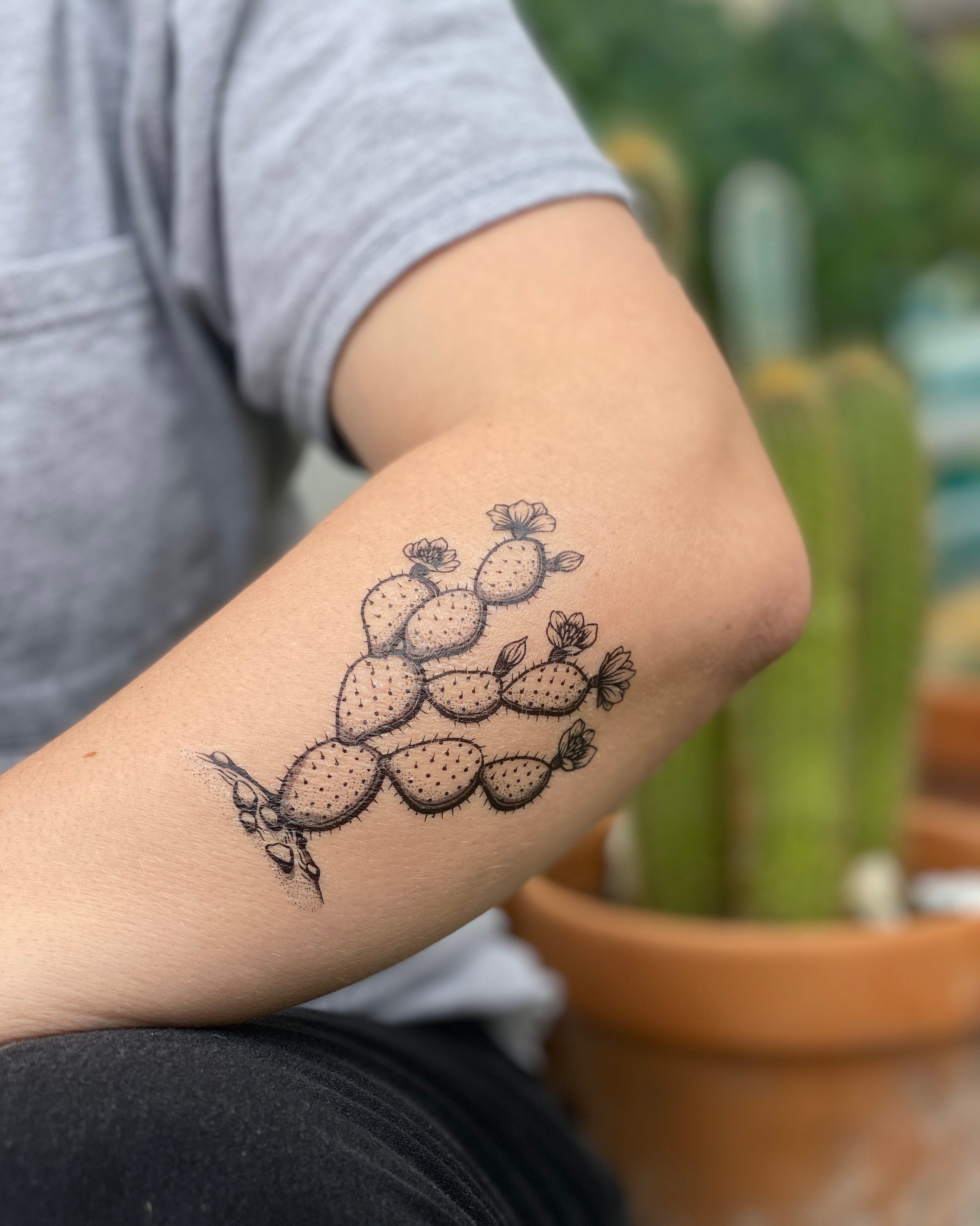 10 Best Cute Cactus Tattoo IdeasCollected By Daily Hind News  Daily Hind  News