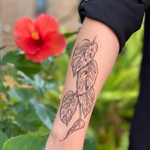 May include: A black and white temporary tattoo of a vine with monstera leaves.