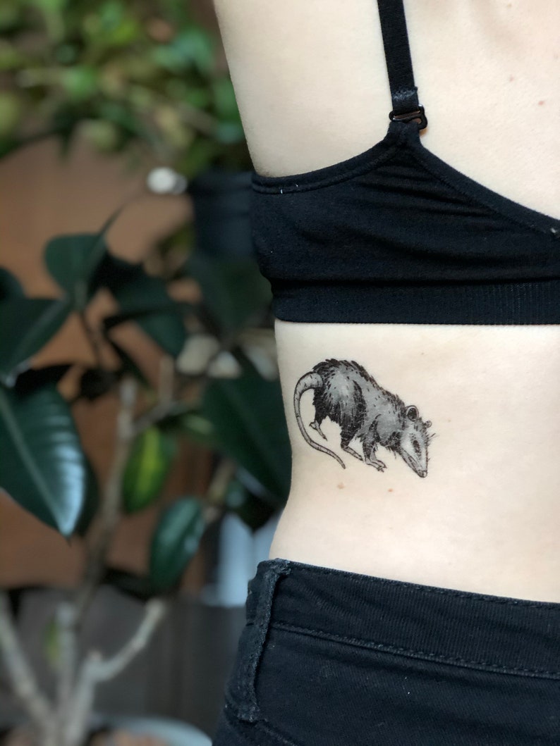 Opossum Temporary Tattoo Black Ink Possum Forest Animal Etsy