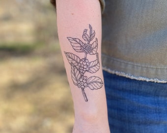 Coffee Plant Temporary Tattoo: Realistic Black Ink Botanical Design