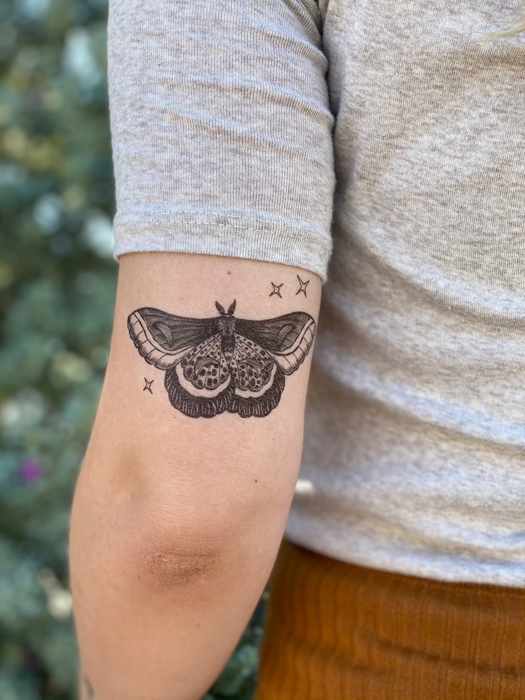Insect tattoo illustration 26519058 Vector Art at Vecteezy