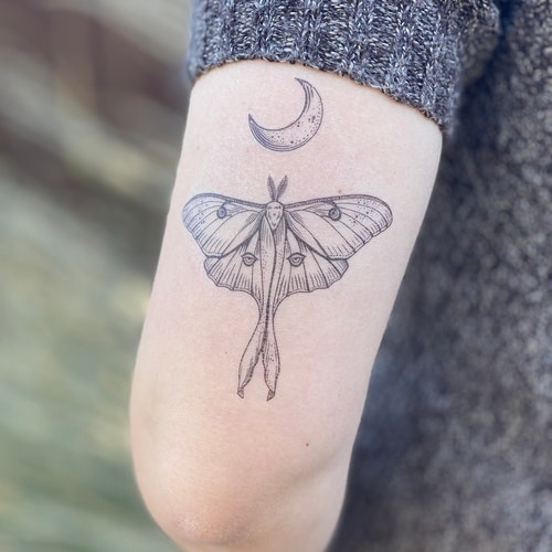Studio Thirteen Tattoo Cocoa on Instagram Beautiful Luna moth sternum  piece by angelaemrtattoos