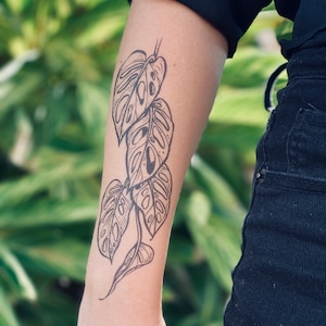 Monstera Vine Temporary Tattoo, Swiss Cheese Vine, Monstera Adansonii, Tropical Leaf, House Plants, Botanical Illustration, Stocking Stuffer