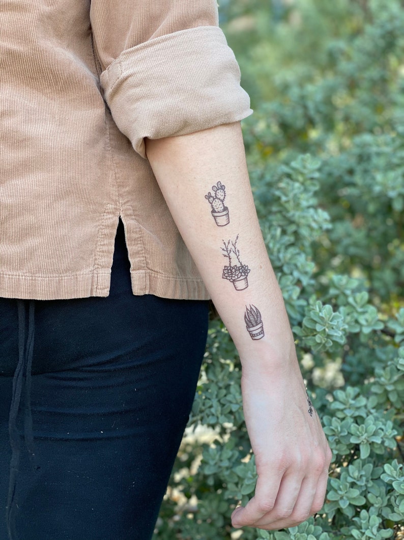 May include: A person's arm with three potted plant tattoos. The tattoos are in black ink and feature a cactus, a leafy plant, and a succulent.