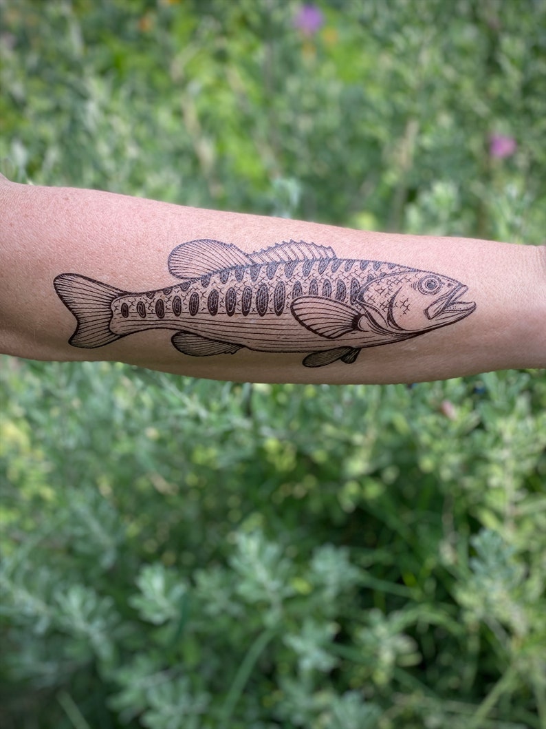 NatureTats Guadalupe Bass Temporary Tattoo - Thumbnail 2
