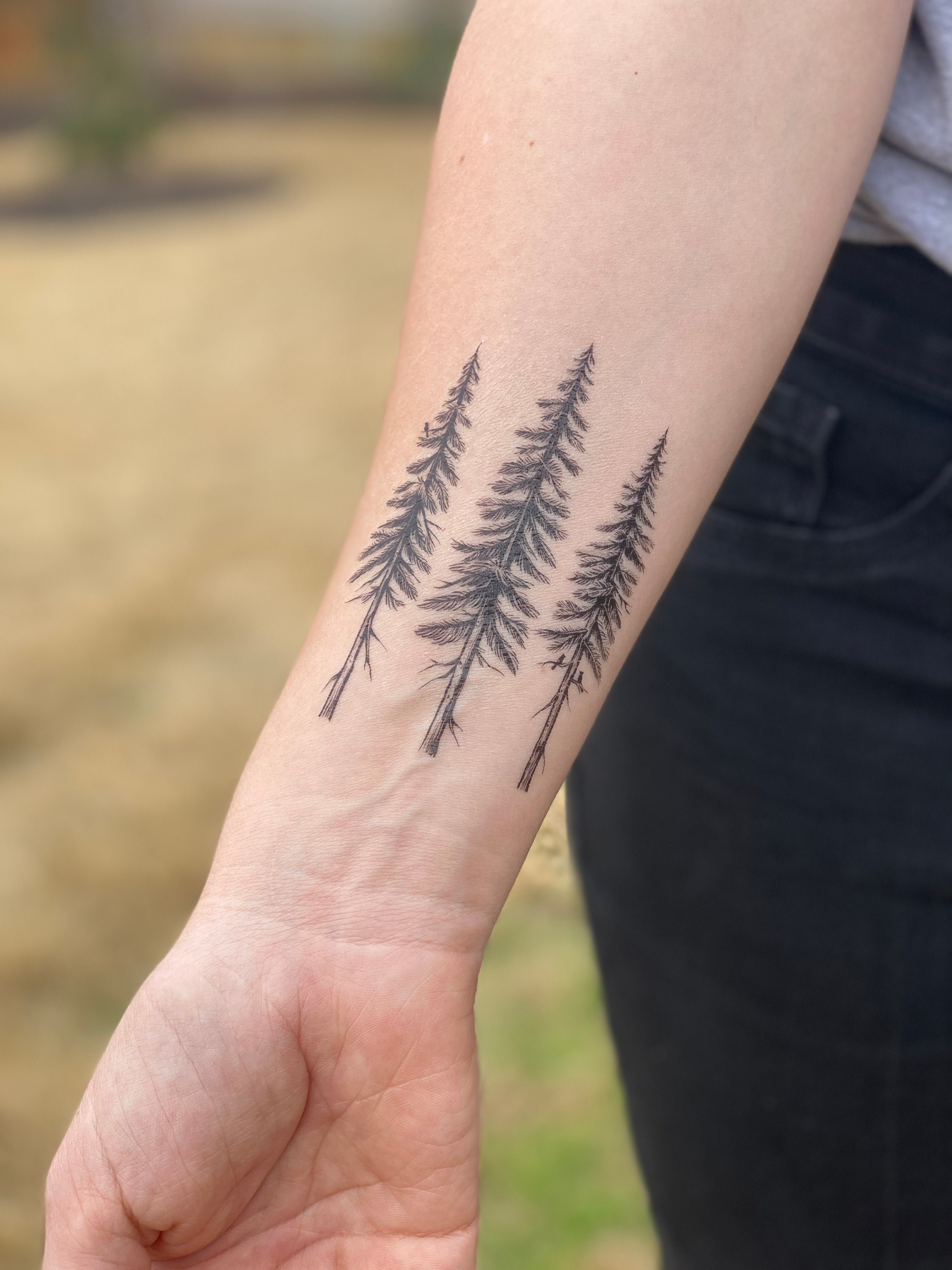 101 Amazing Pine Tree Tattoo Ideas Will Love  Daily Hind News