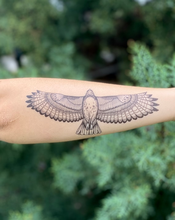 red tail hawk tattoo