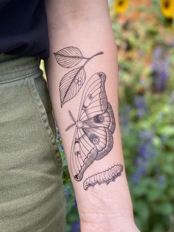 Cycle Of Life Tattoo | Grey tattoo, Tattoos, Black and grey tattoos