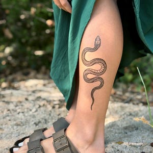Garden Snake Temporary Tattoo: Realistic Serpent Design, Hand-Drawn, Fake Tattoo image 5