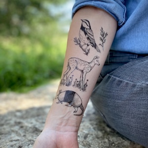 Texas Wildtiere Temporäre Tattoo Set: Gürteltier, Reh, Goldener Wangensänger