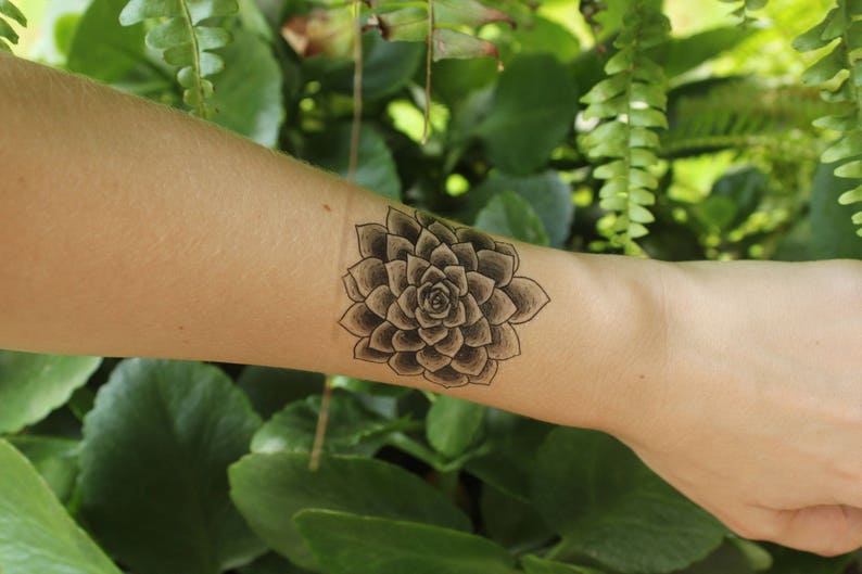 1. Small Succulent Tattoo Designs - wide 7