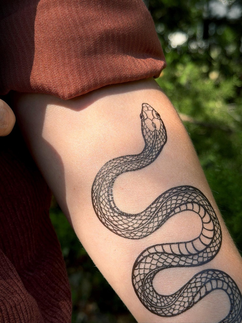 Garden Snake Temporary Tattoo: Realistic Serpent Design, Hand-Drawn, Fake Tattoo image 9