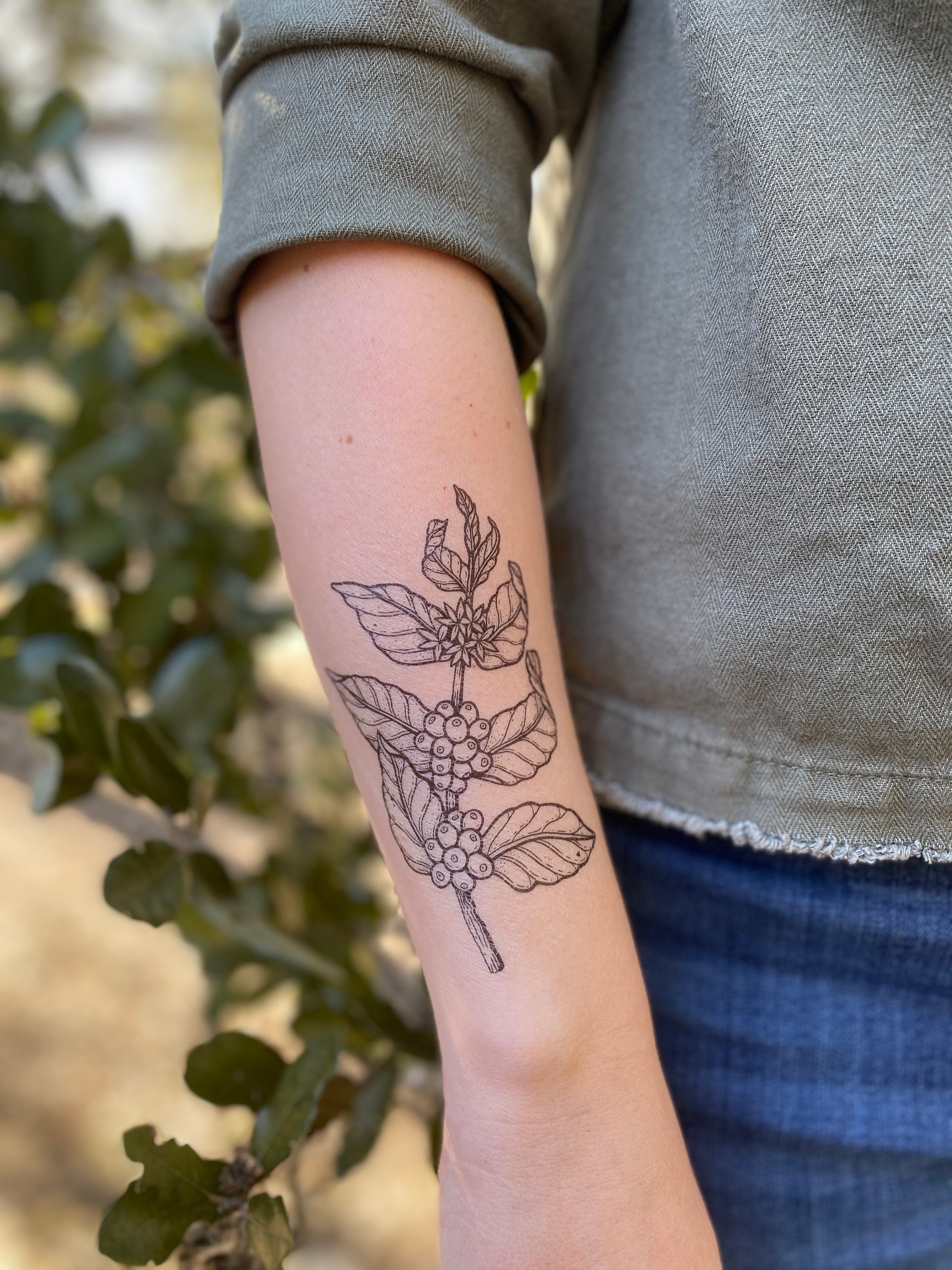 Kaffeepflanze Temporre Tattoo: Realistisches Design - Etsy.de