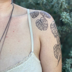May include: A person's shoulder with a black line drawing tattoo of monstera leaves.