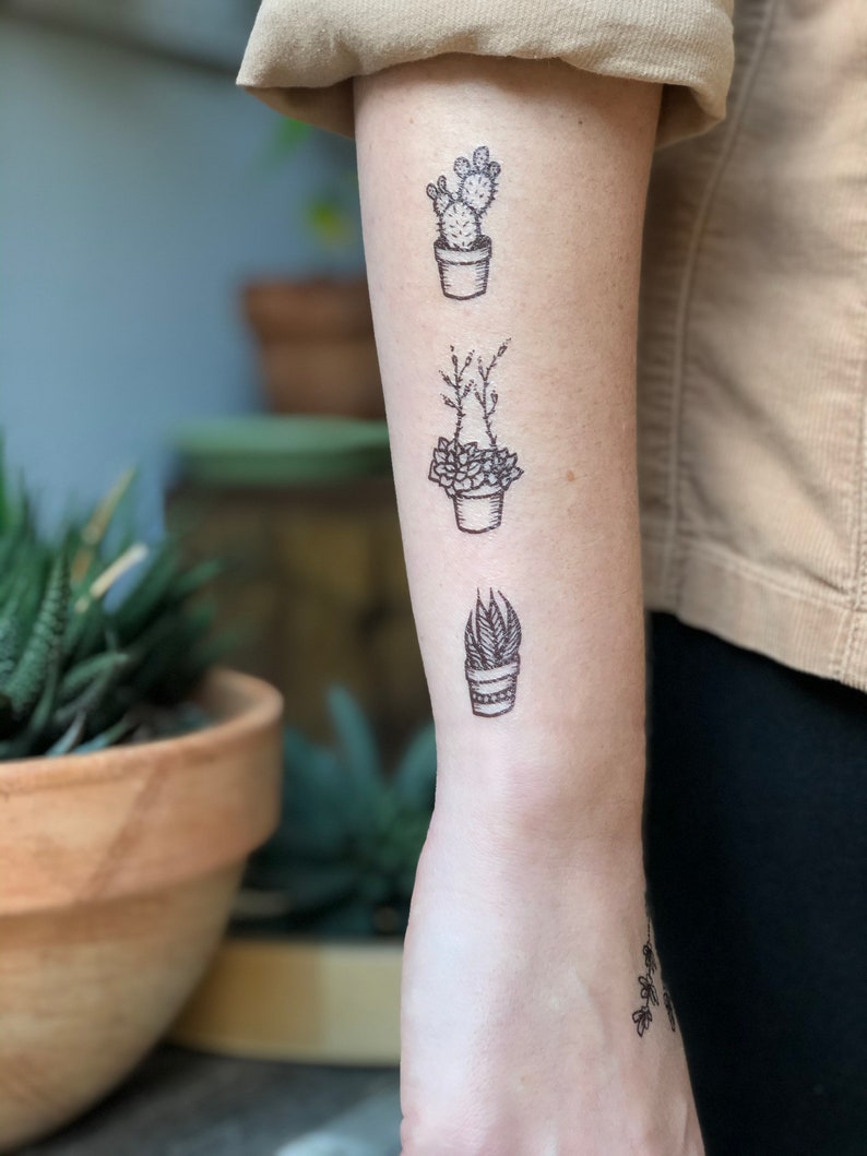 May include: Three black and white temporary tattoos of potted plants on a person's arm. The tattoos feature a cactus, a succulent, and a leafy plant.