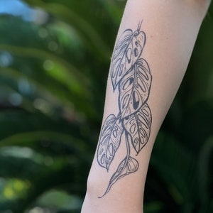 May include: Black and white temporary tattoo of a monstera plant with leaves in various sizes.