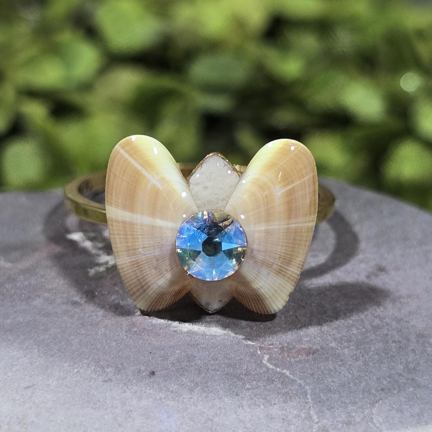 Light Silk Butterfly Shell Ring / size 8 / austrian crystal / coquina shells