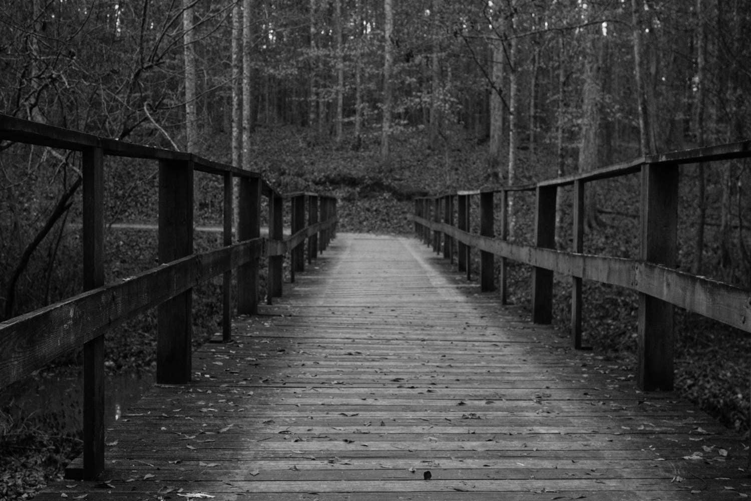 wooden bridge backdrop in black and white old wood bridge outdoor