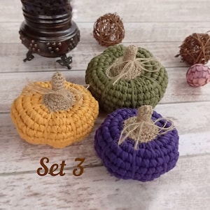Decoratieve pompoenenset, Thanksgiving-pompoen als middelpunt, rustiek pompoendecor voor op tafel