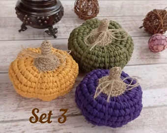 Decoratieve pompoenenset: rustieke Thanksgiving-pompoen als middelpunt voor op tafel