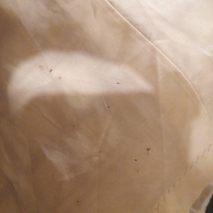 Puede incluir: Primer plano de una tela de color crema con varios agujeros peque&ntilde;os. La tela tiene una textura sutil y una apariencia ligeramente arrugada.