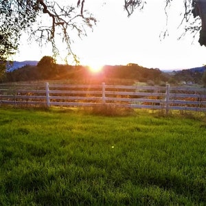 Photograph print sunrise at the vineyard/farm in Northern California, 5x7 matted to 8x10