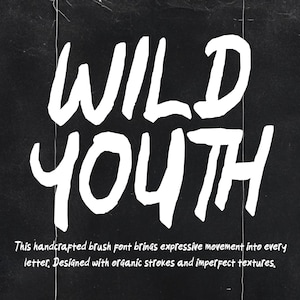 Puede incluir: Un gráfico digital que presenta el texto blanco WILD YOUTH en un estilo de pincel audaz y dibujado a mano sobre un fondo negro texturizado. Debajo del título principal, un texto blanco más pequeño dice: This handcrafted brush font brings expressive movement into every letter. Designed with organic strokes and imperfect textures.