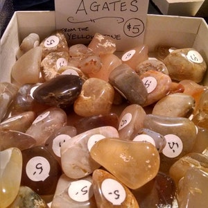 May include: A collection of Montana Agates, natural stones with brown, white, and orange hues, in a white box. The sign reads "Montana Agates from the Yellow Stone $5".