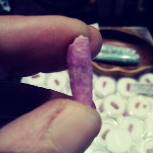 May include: A close-up of a small, pink, spiraled shell held in a hand. The shell is about 2 inches long and has a smooth, polished surface.
