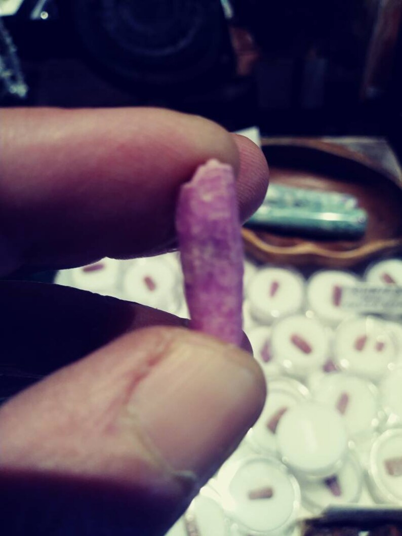 May include: A close-up of a small, pink, spiraled shell held in a hand. The shell is about 2 inches long and has a smooth, polished surface.