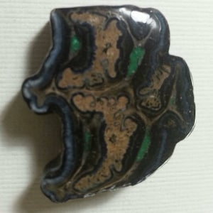 Petrified horse tooth with chrysocolla