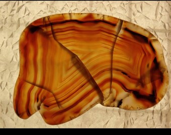 Polished Montana Agate Slice, Yellowstone River Stone